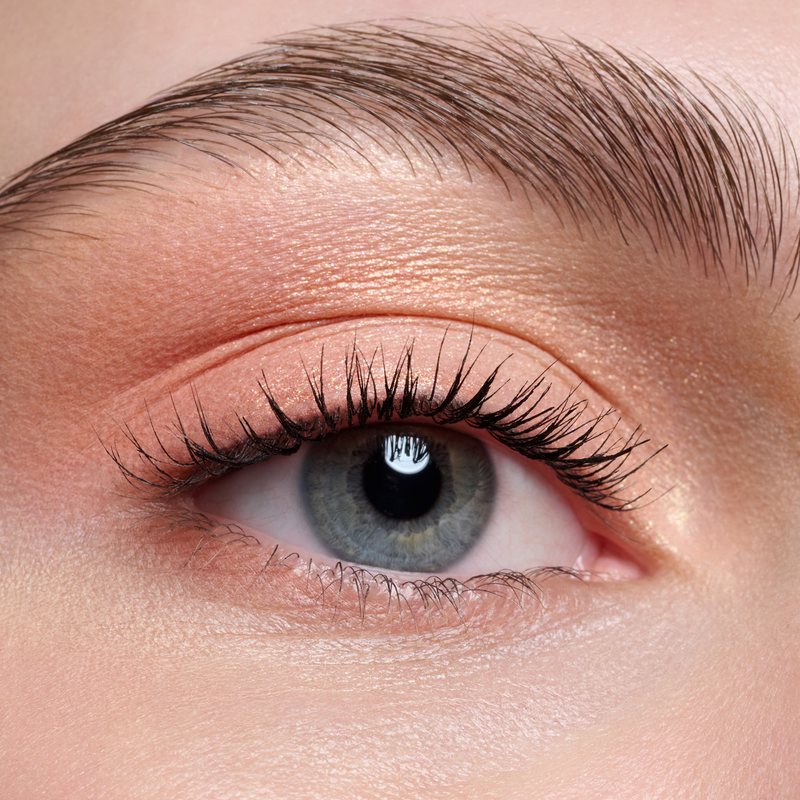 Catrice The Warm Honey Eyeshadow Palette