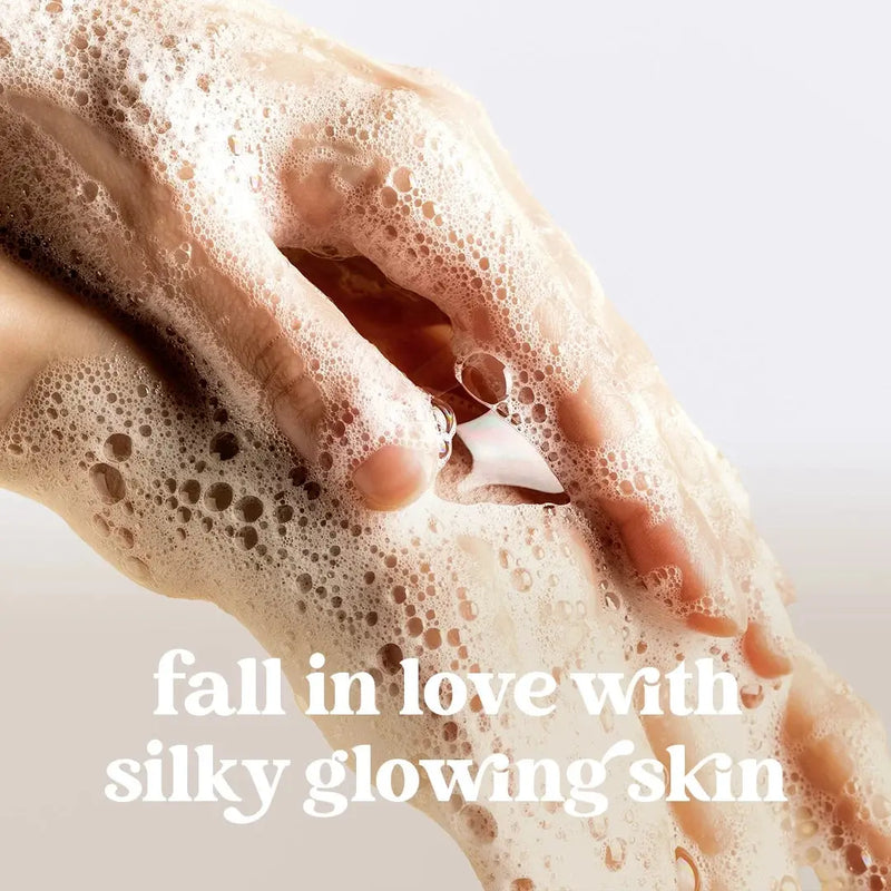 Dove Holiday Treats Liquid Hand Wash Apple Cider Caramel