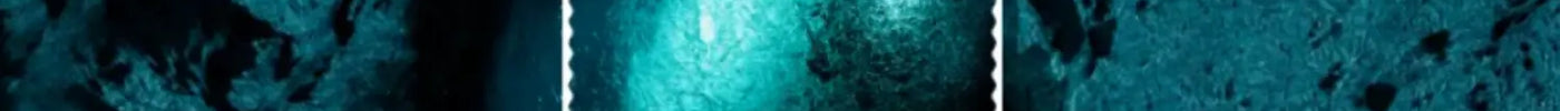 Coloro Color of the Year 2026: Transformative Teal boozyshop