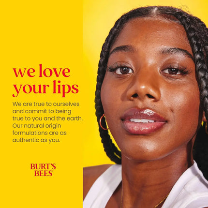 Burt's Bees Lip Balm Vanilla Bean