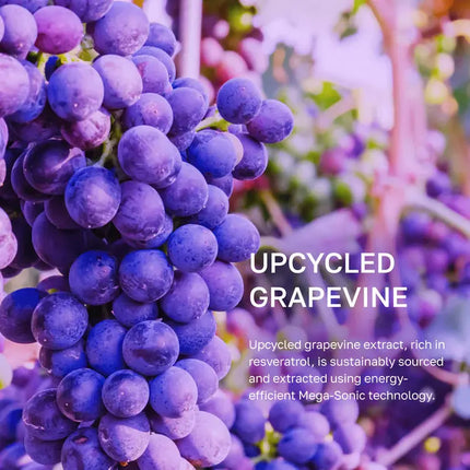 By Juccy Vinoberry Moisture Firming Cream