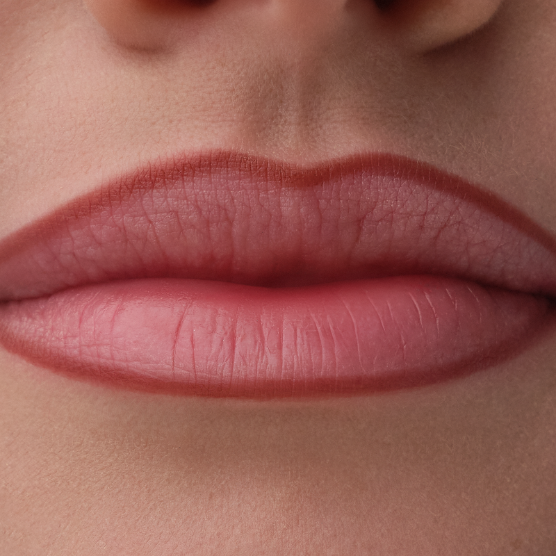 Catrice Precision Ink Lip Liner Stain 060 Kept Close