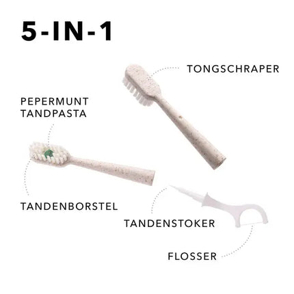 Clearsmile 5-in-1 Tooth Brush Clean & Fresh Peppermint
