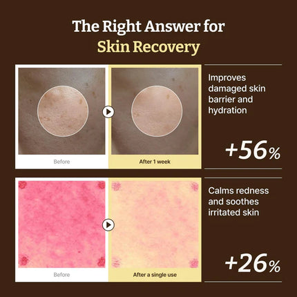 Dr. Rejuall Advanced PDRN Rejuvenating Cream 60 ml