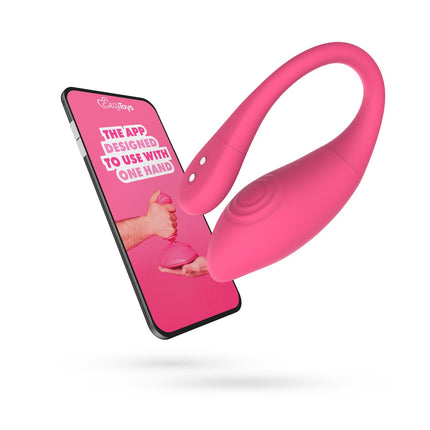 EasyToys EasyConnect Vibrerend Eitje Aria AppControlled