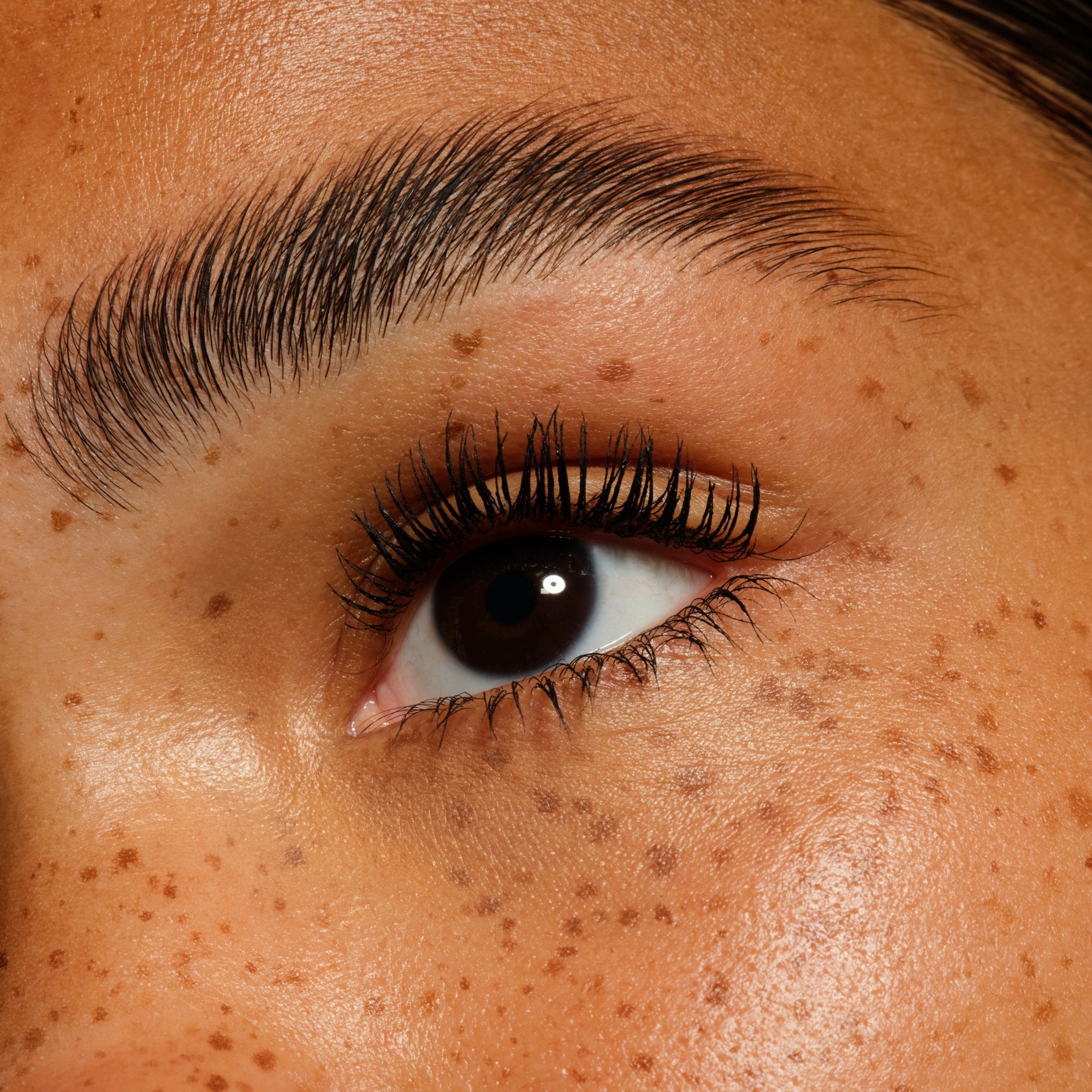 Lash Princess Volume & Length Party Deep Black | Boozyshop