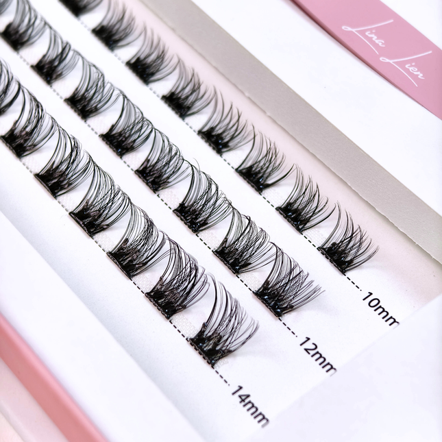 Lina Lien Press Lash Starterkit Elegance Black Glue Strip