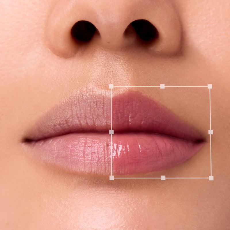 PDRN Moisture Lip Butter C030 Rosewood Melt