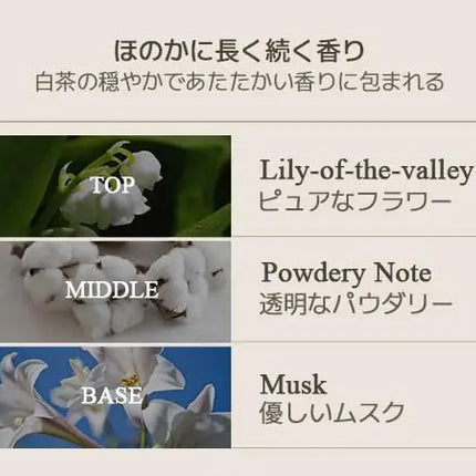 Teabless Lily Musk White Tea Perfume Body Lotion