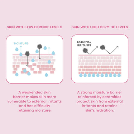 Tonymoly Wonder Ceramide Mocchi Toner